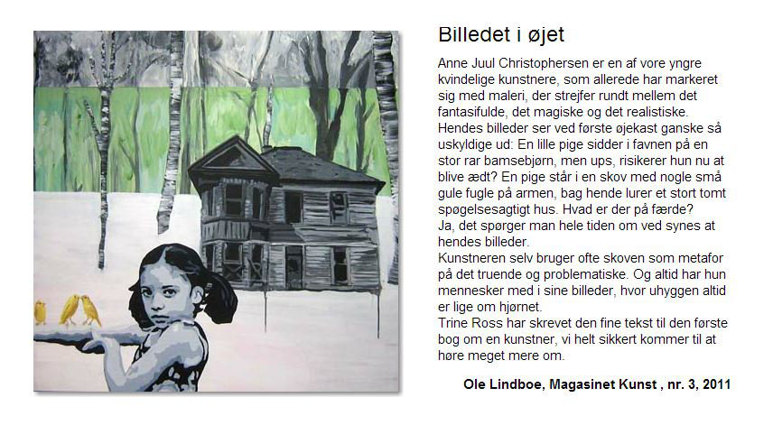 Billedet i øjet - af Ole Lindboe